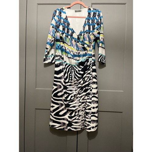 Libra multicolour zebra - libra, animal