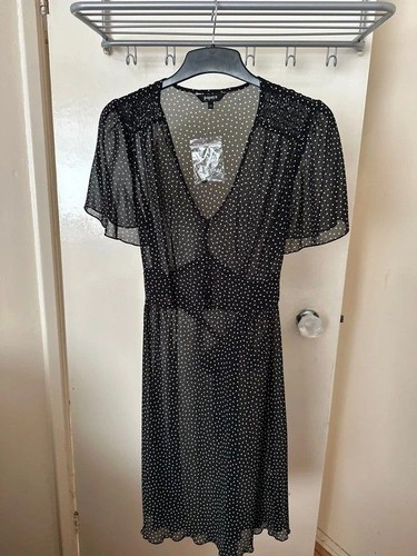 Papaya size polka dot - papaya, sheer